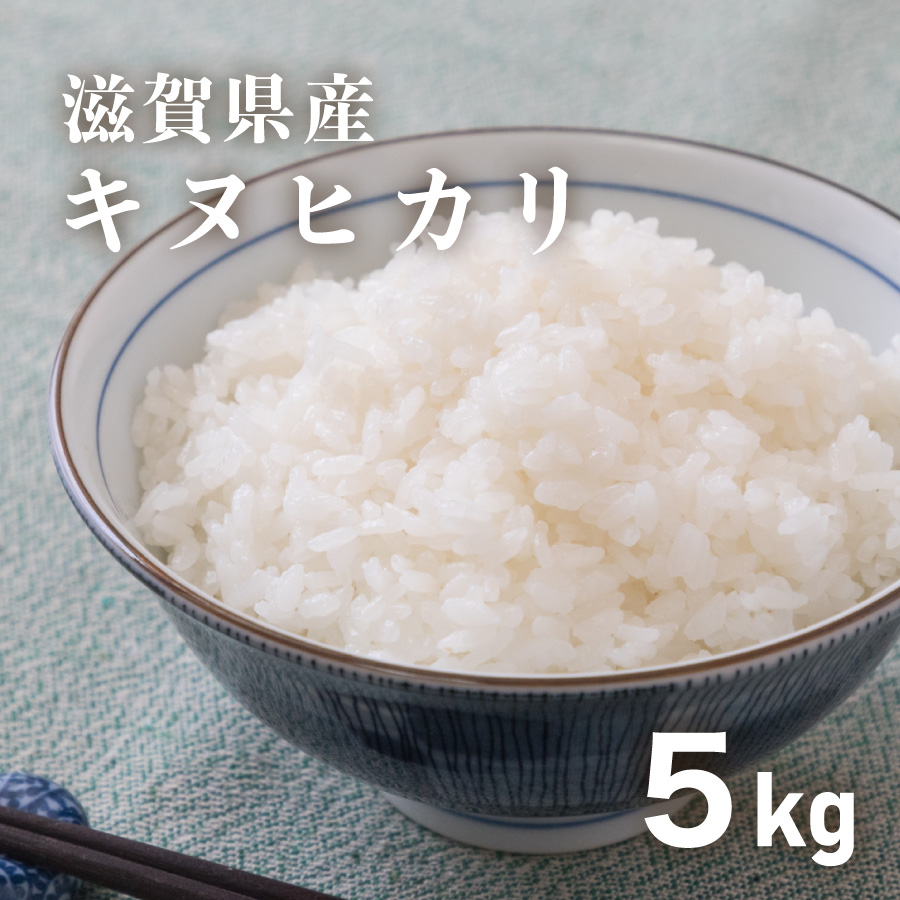 滋賀県産キヌヒカリ 新米 滋賀県産近江米 キヌヒカリ