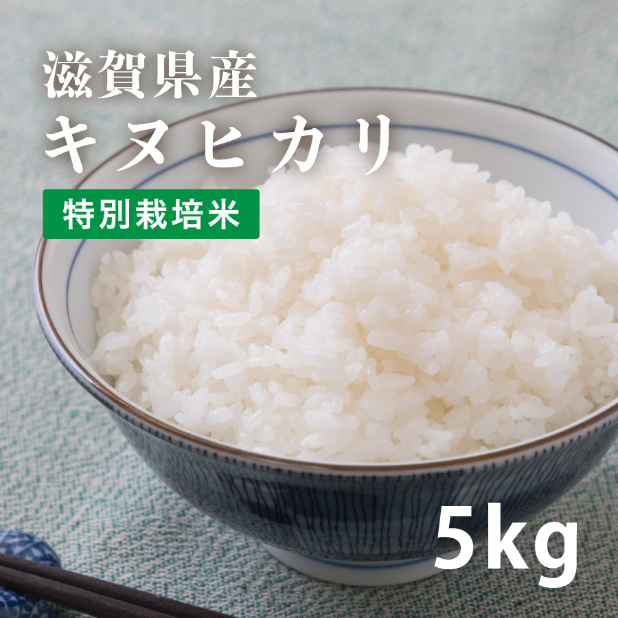 kinu5kg-100