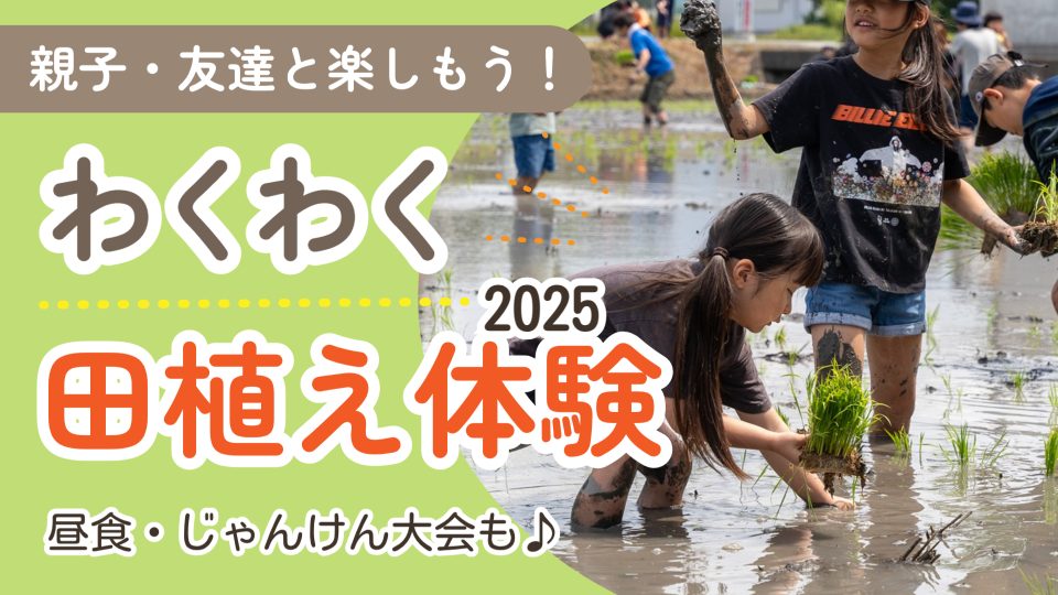 わくわく田植え体験2025_yoko
